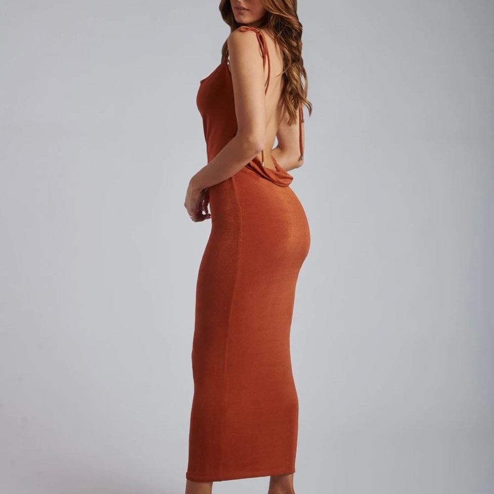 NWT Meshki dress